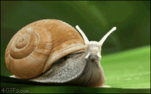 Snail With Rocket Boosters